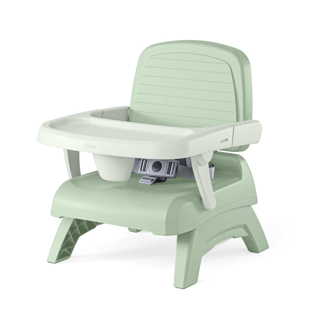 3-in-1 Portable Booster Seat P439