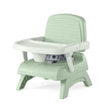 3-in-1 Portable Booster Seat P439