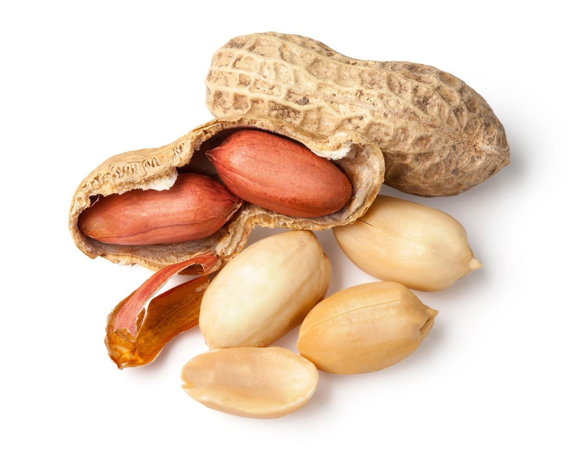 Whole in Shell Raw Peanuts 2.5 Pounds I409