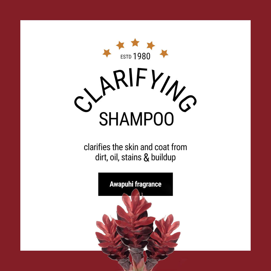 Dog Shampoo 1 Gallon F7964