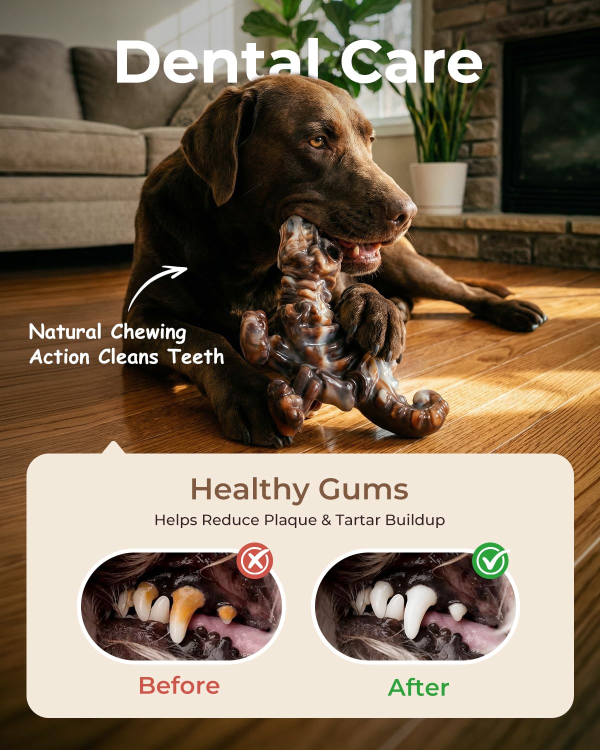 2-Pack Tough Dog Chew Toys H6447