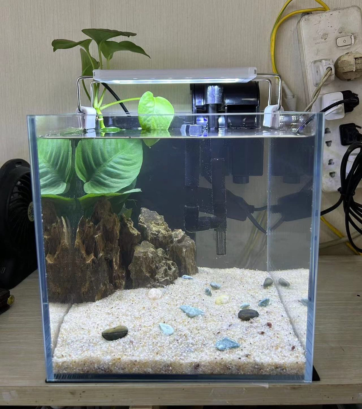 Small Nano Tall Rimless Glass Fish Tank 2 Gallon Y339054