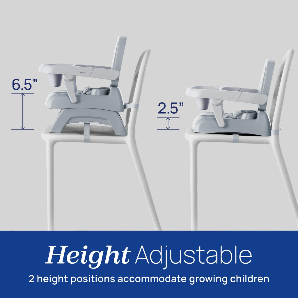 3-in-1 Portable Booster Seat P439