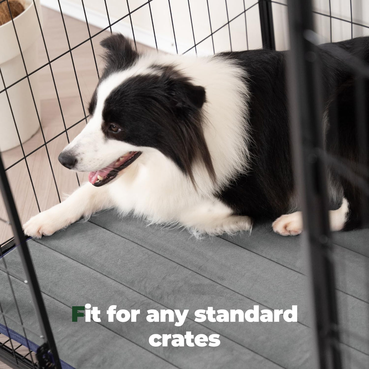 Washable Water-Resistant Dog Crate Pad N543988