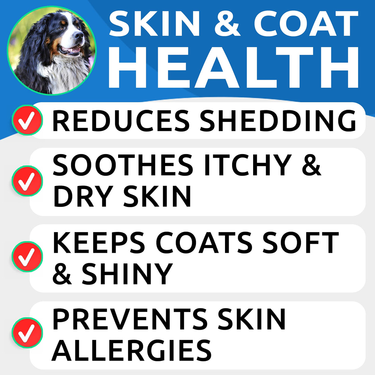 Omega 3 Fish Oil Dog Treats Bundle K839773