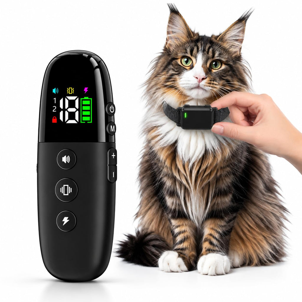 Cat Shock Collar with Remote Z467837