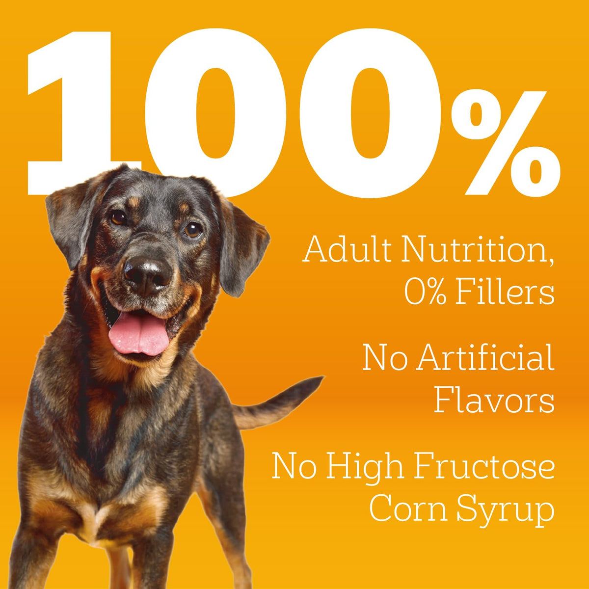 Adult Complete Nutrition Dry Dog Food Steak & Vegetable 18 lb L81430