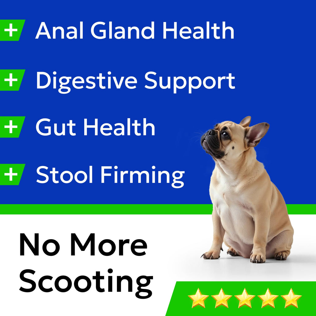 Omega 3 Fish Oil Dog Treats Bundle K839773