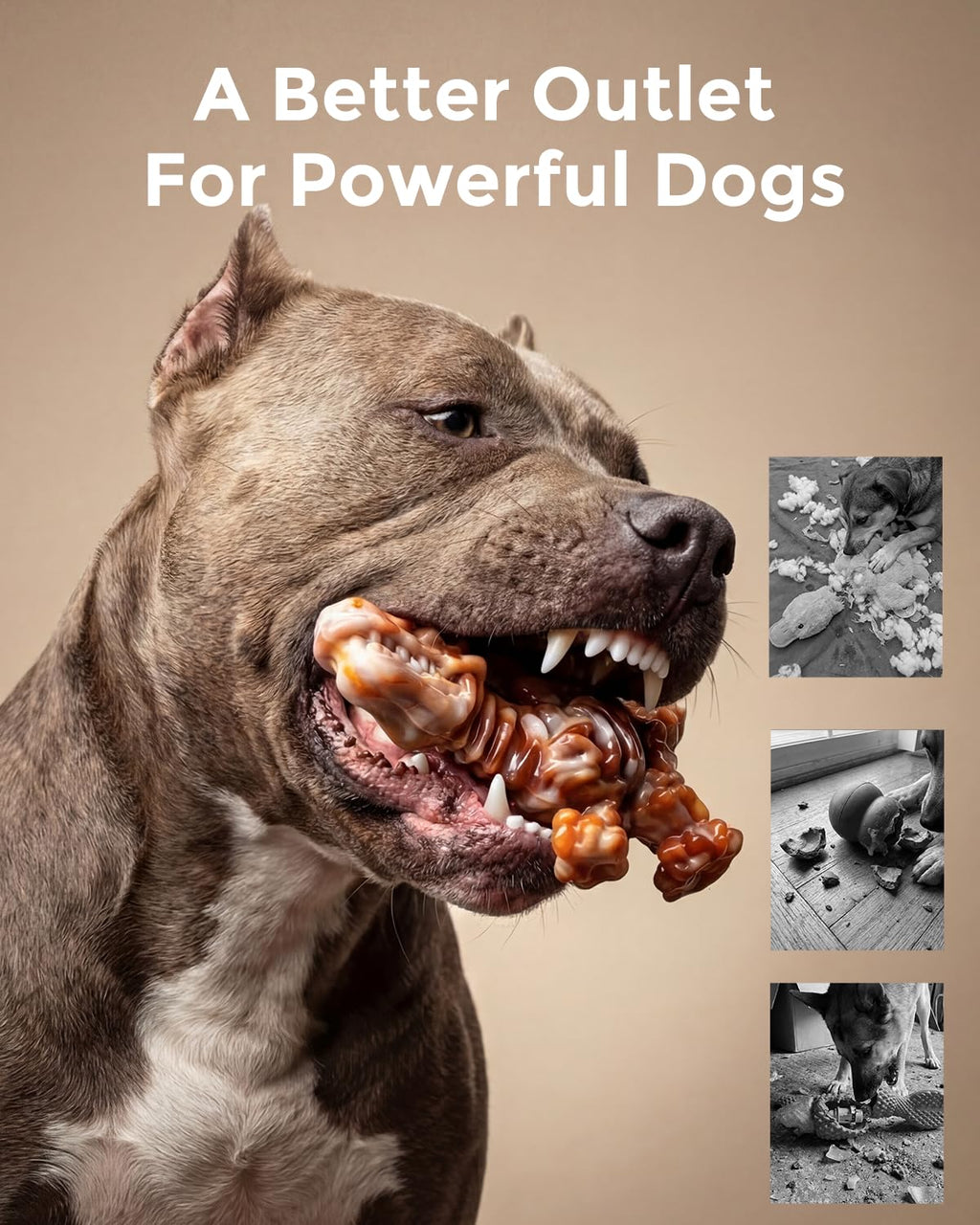 2-Pack Tough Dog Chew Toys H6447