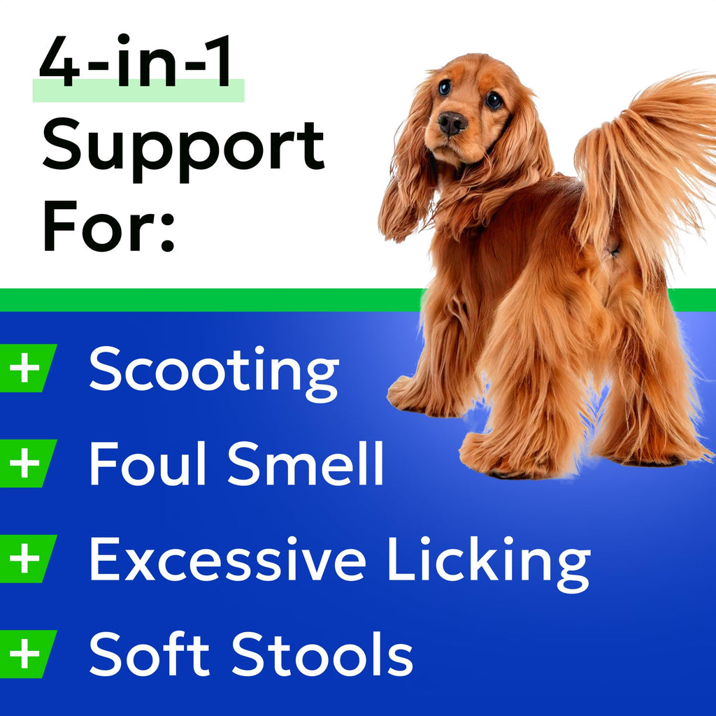 Omega 3 Fish Oil Dog Treats Bundle K839773