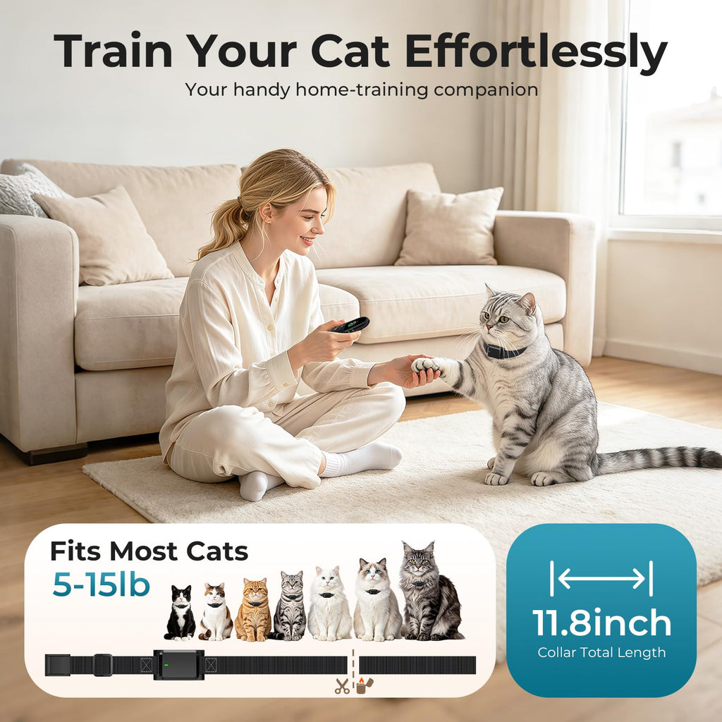 Cat Shock Collar with Remote Z467837