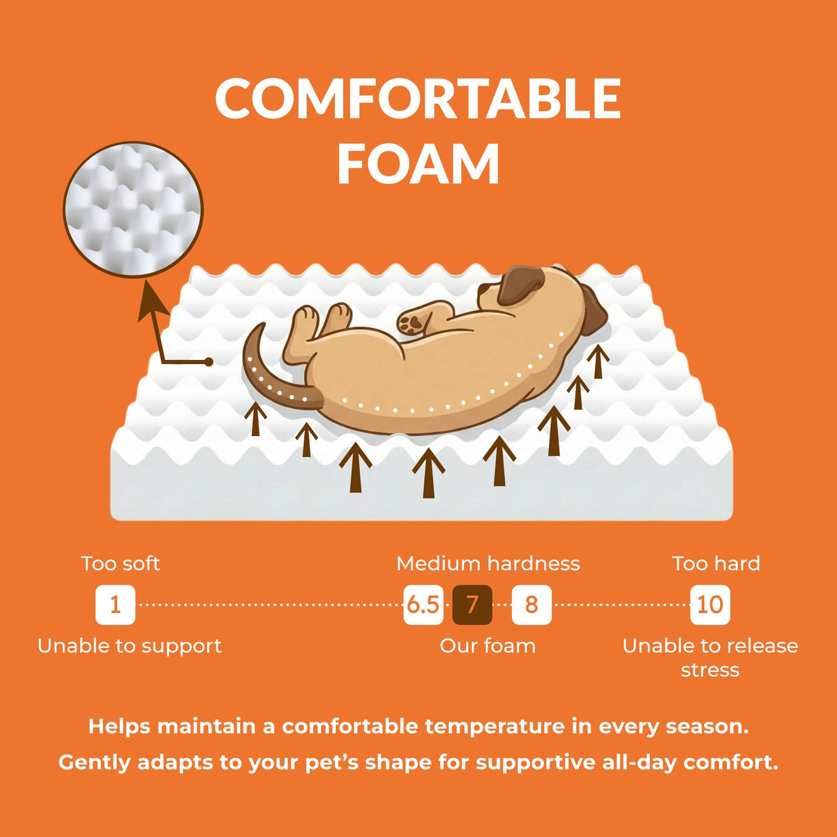 Wood Dog Bed Frame with Foam Mattress F5530
