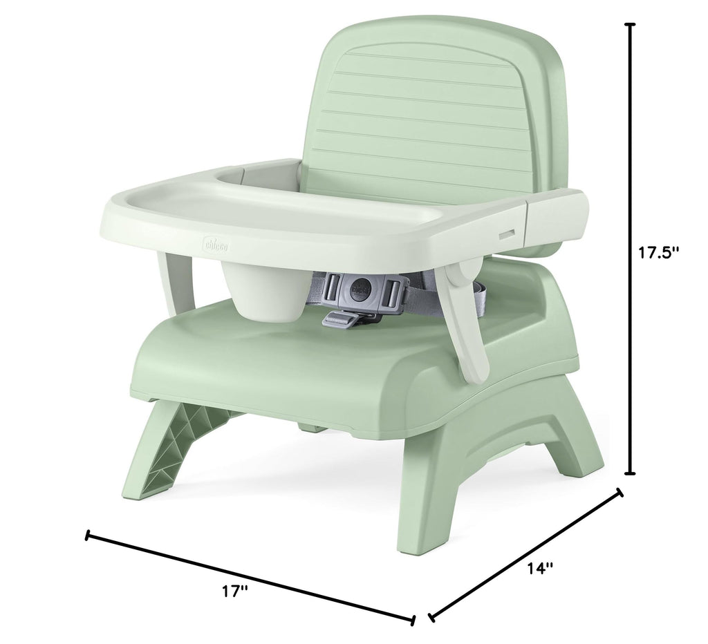 3-in-1 Portable Booster Seat P439