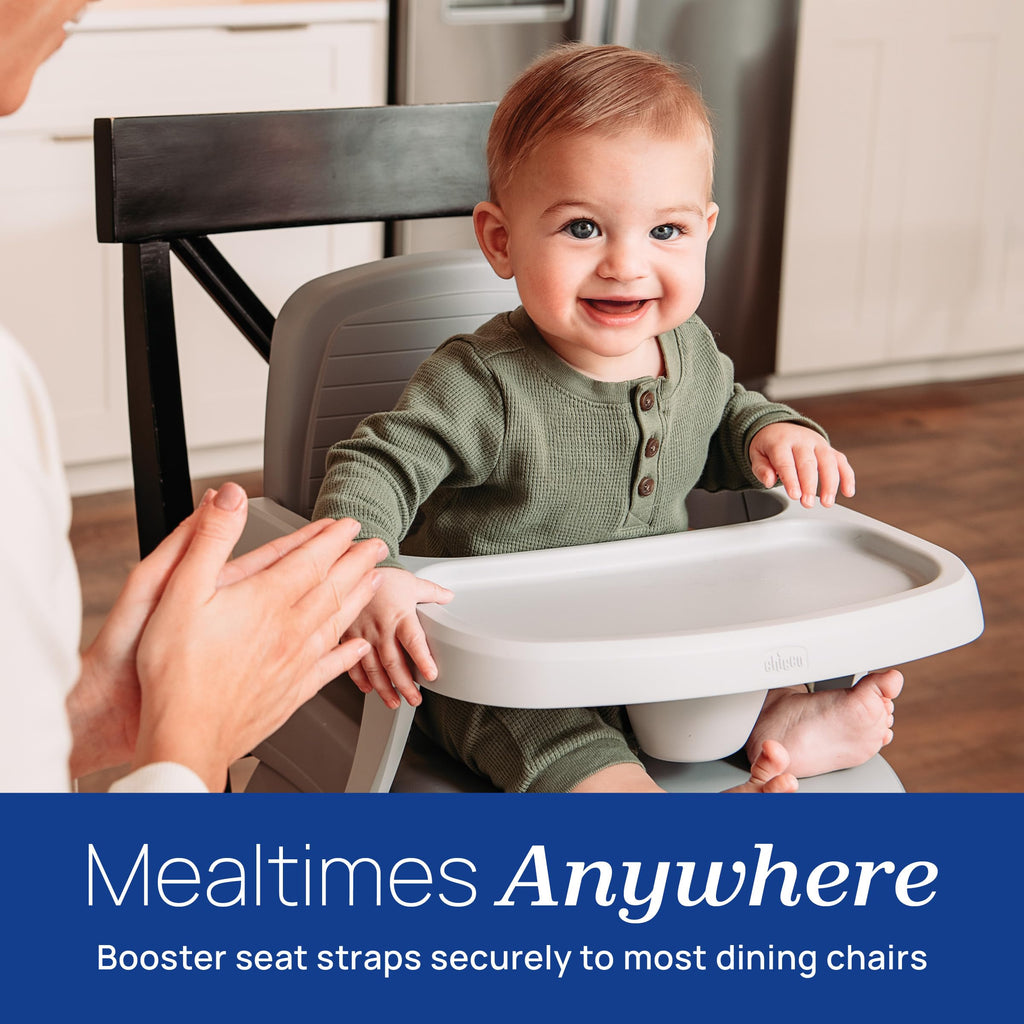 3-in-1 Portable Booster Seat P439