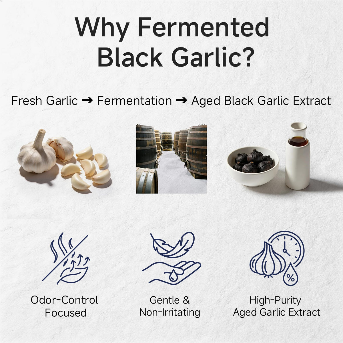 Aged Black Garlic Extract 700mg Supplements Y24113