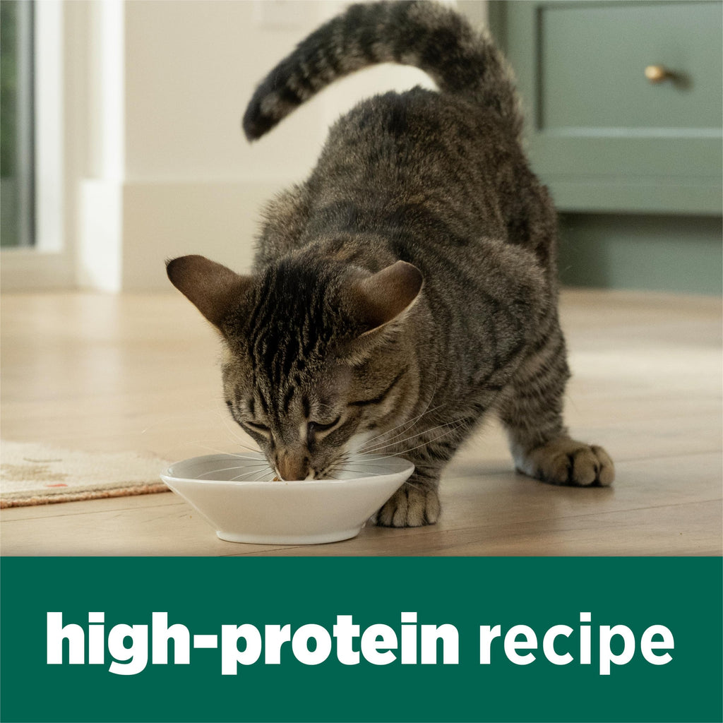 High Protein Dry Cat Food, 13 lb Bags R911