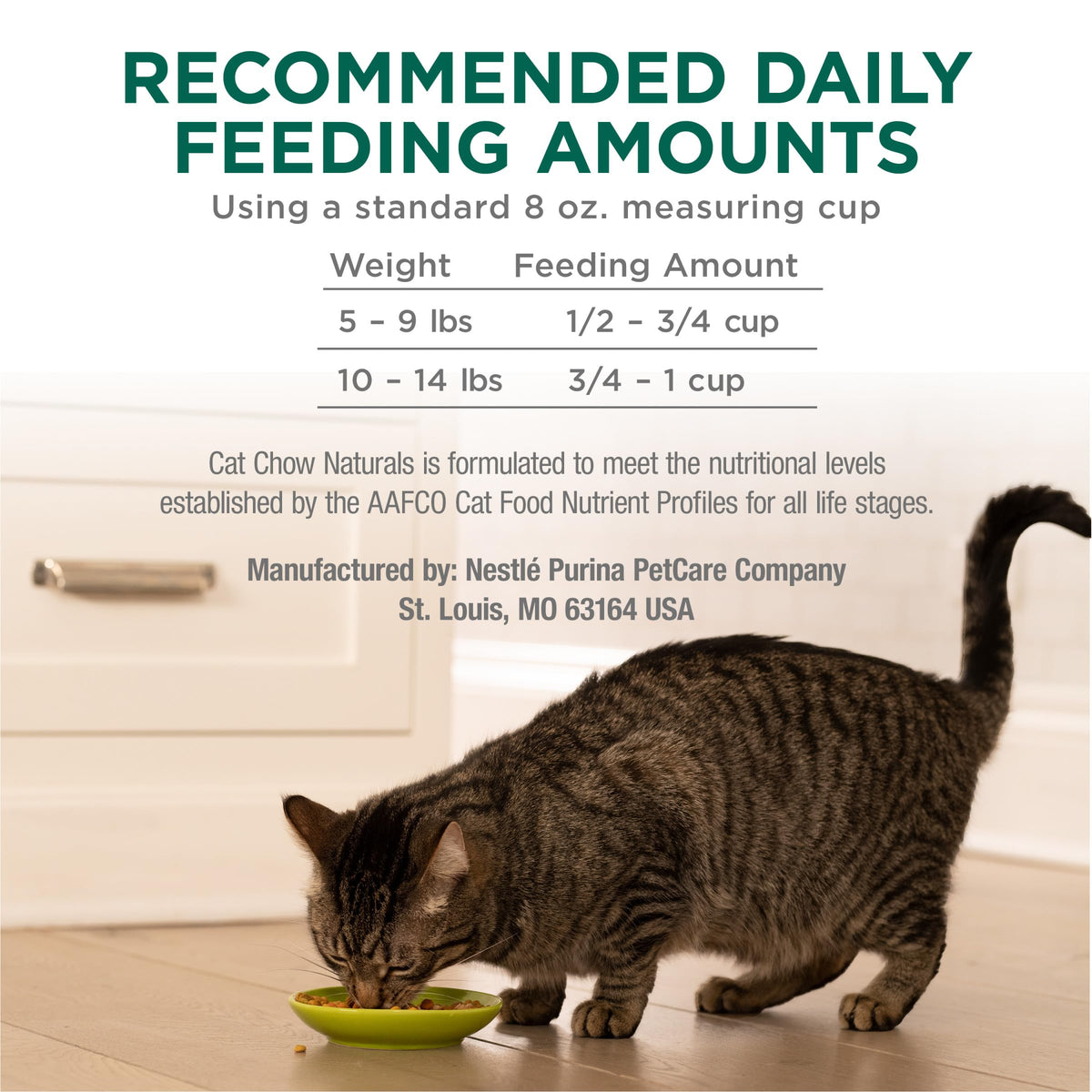 High Protein Dry Cat Food, 13 lb Bags R911