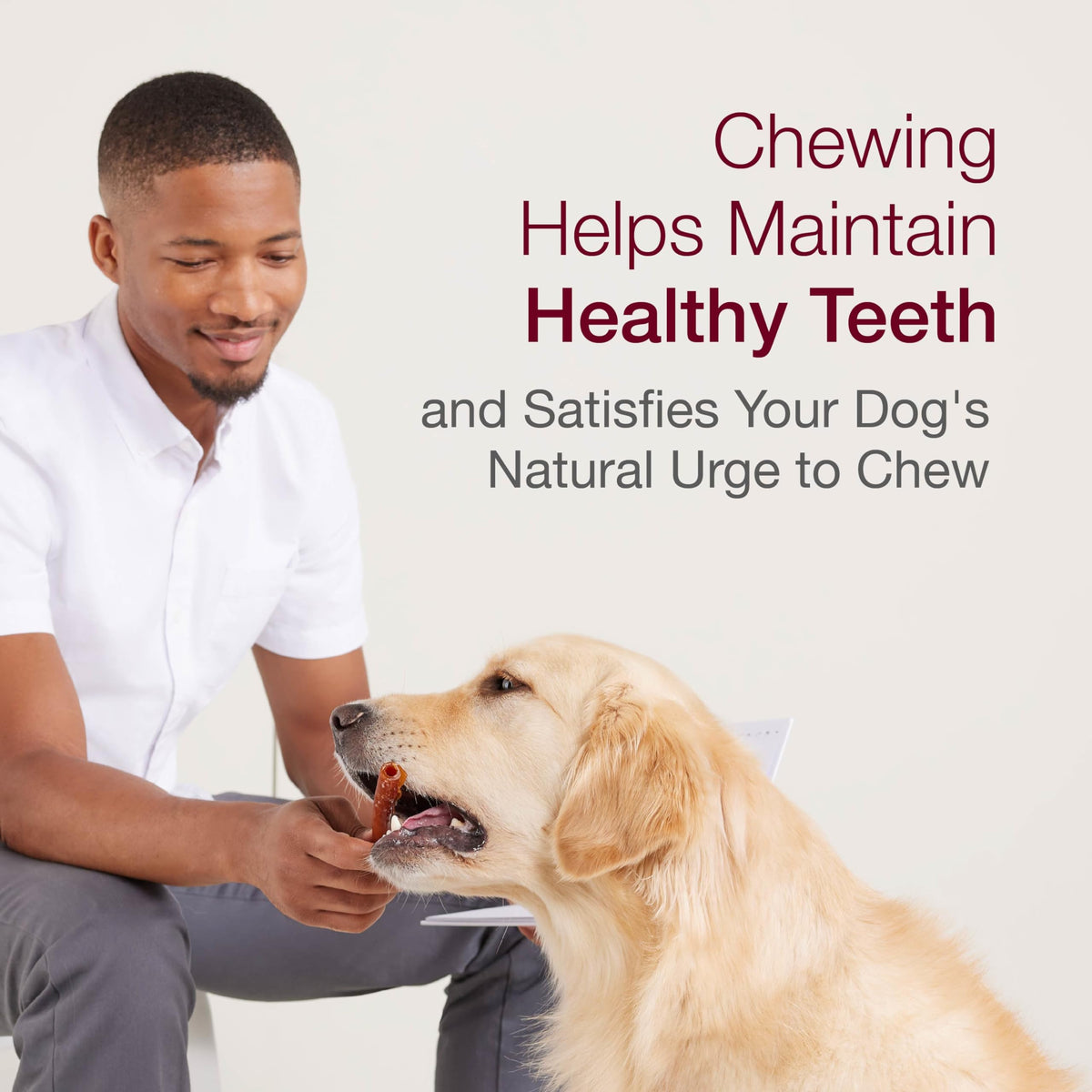 Medium Rawhide-Free Dog Treat with Peanut Butter, 4 Count E849850
