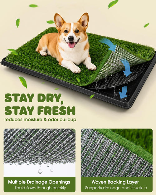 3 Layer Dog Grass Pad with Tray 30" x 20" J550