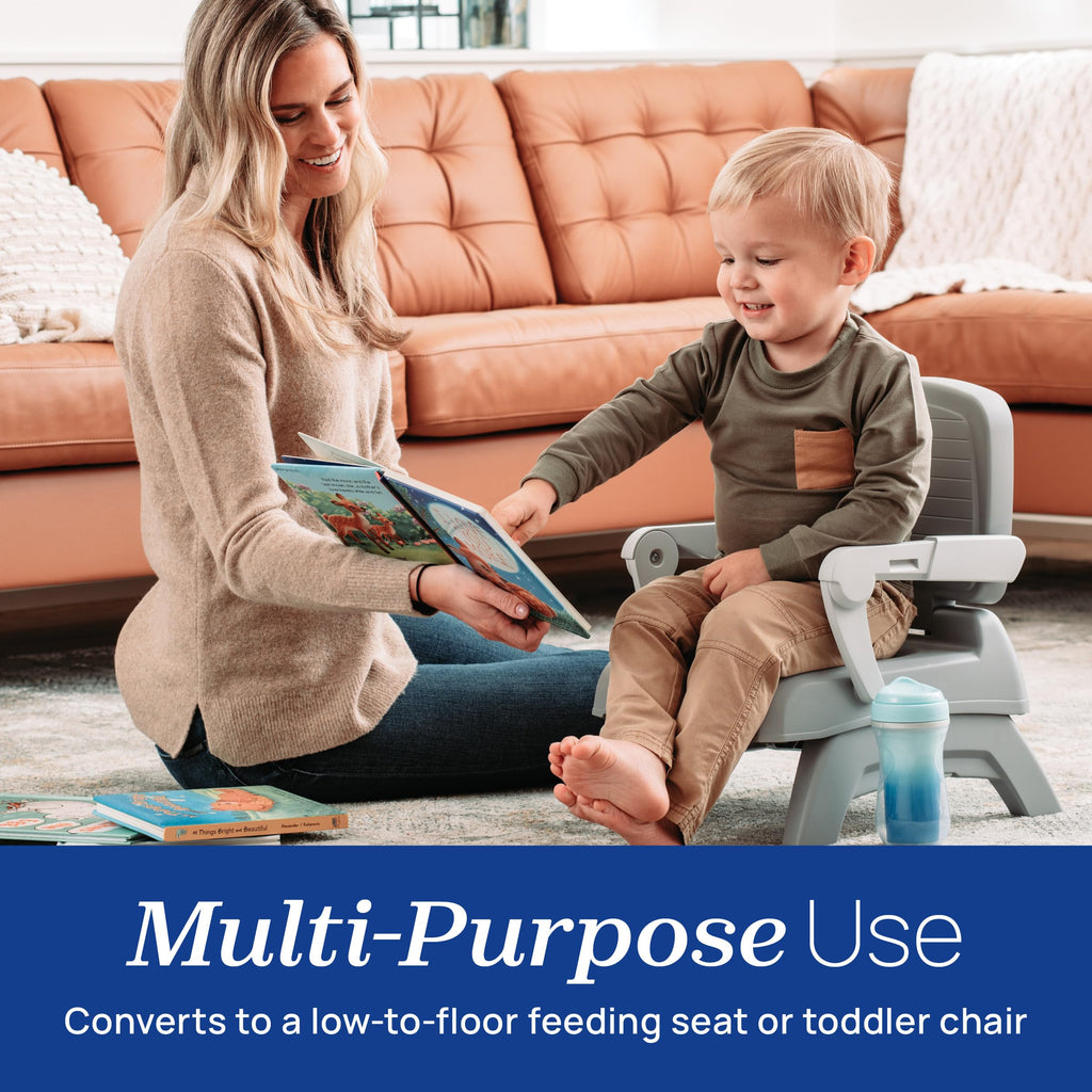 3-in-1 Portable Booster Seat P439