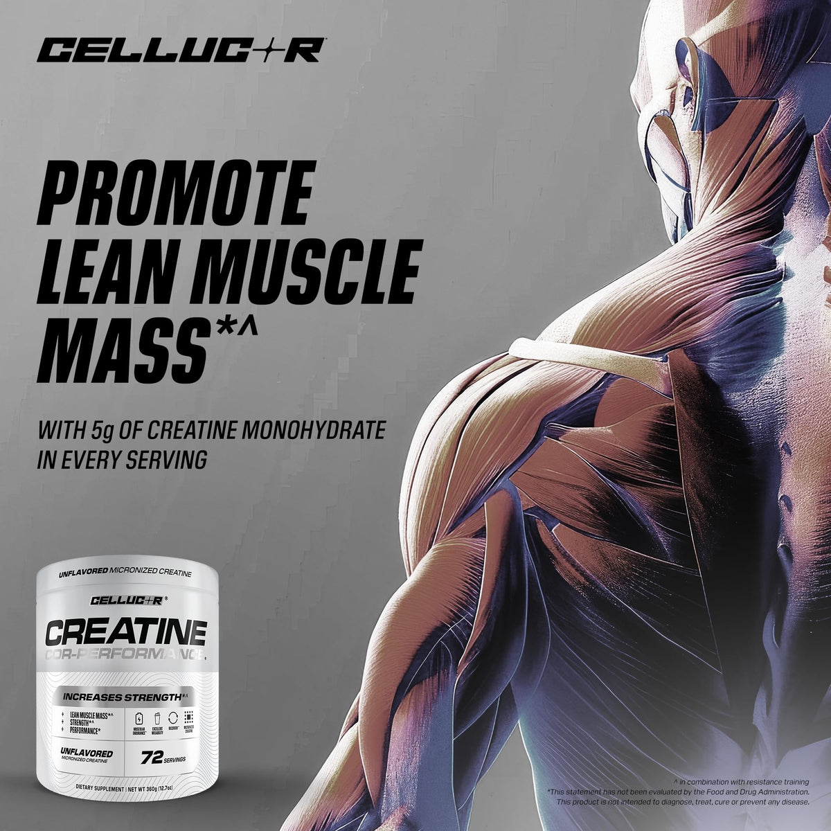 Creatine Monohydrate 72 Servings E11365