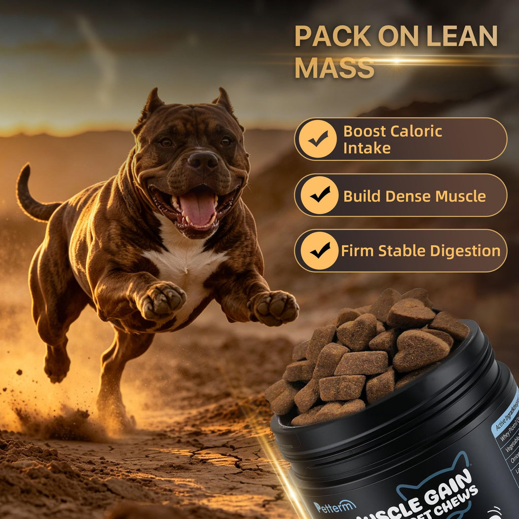 High Calorie Dog Chews 100 Ct Z13267