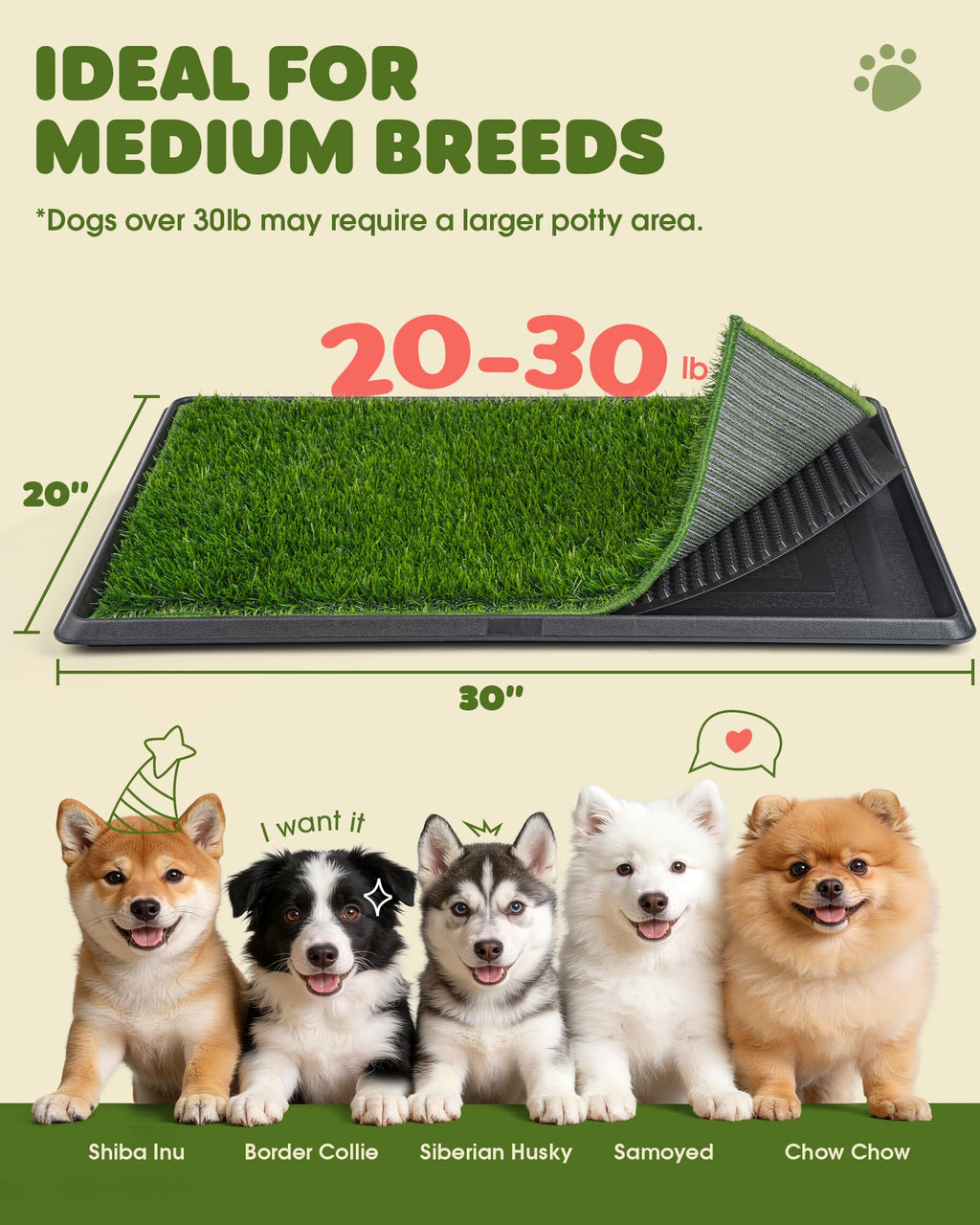 3 Layer Dog Grass Pad with Tray 30" x 20" J550