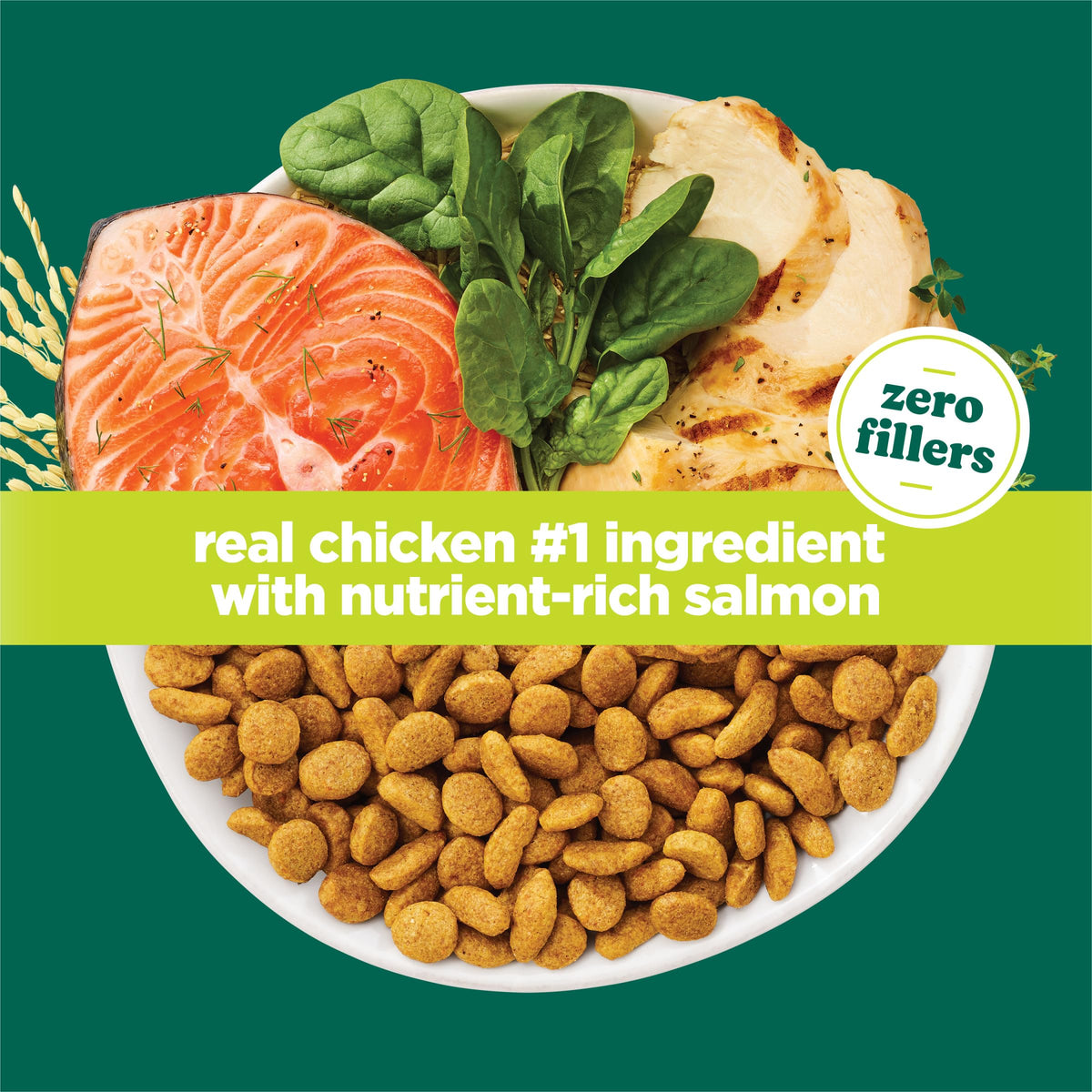 High Protein Dry Cat Food, 13 lb Bags R911