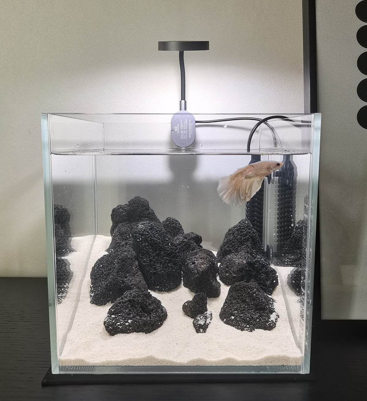 Small Nano Tall Rimless Glass Fish Tank 2 Gallon Y339054